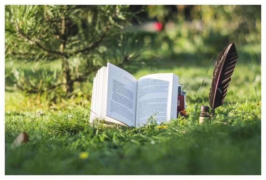 Book Books Nature Pen