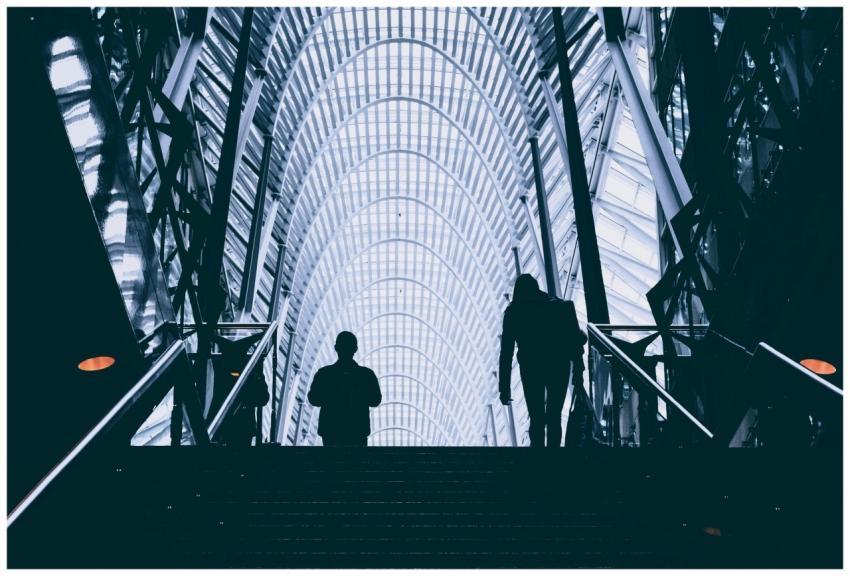 Explore modern architecture and silhouettes in thi