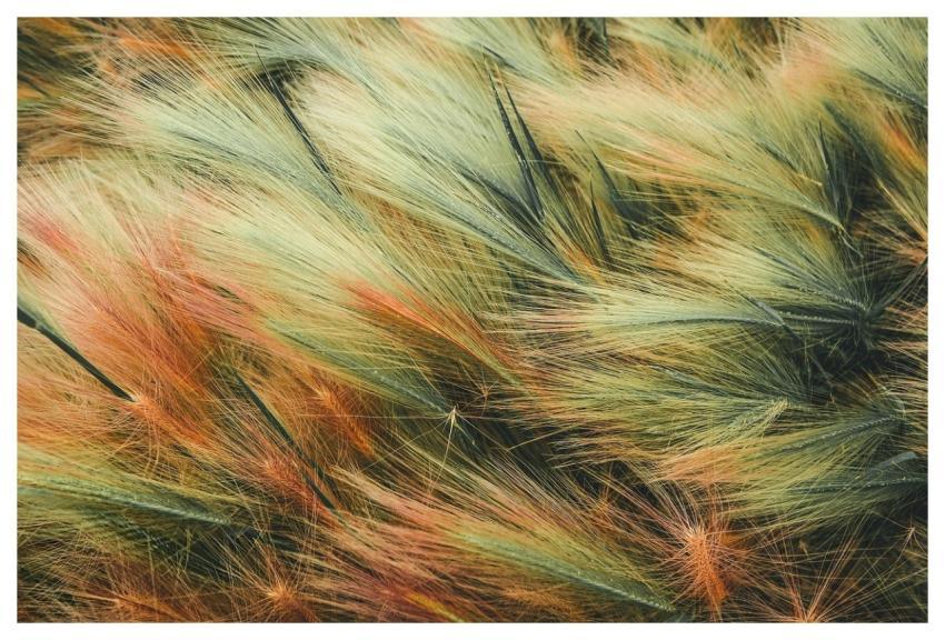 Background Full Hd Wallpaper Laptop Wallpaper Wind