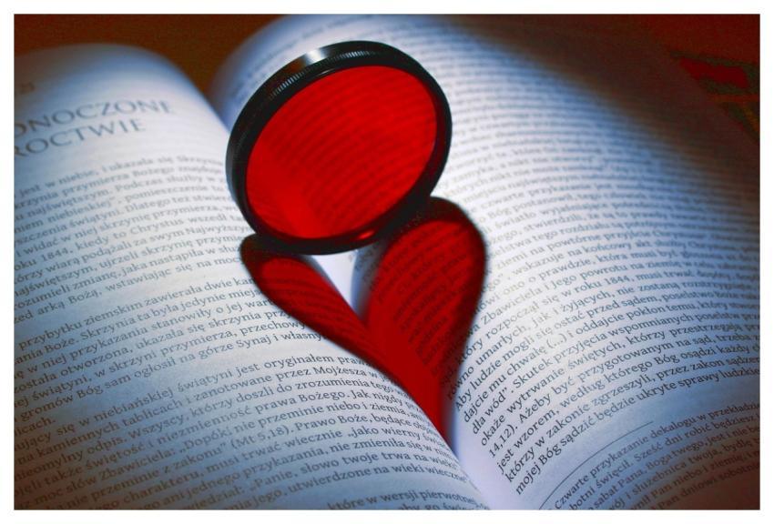 Reading Book Pages Heart