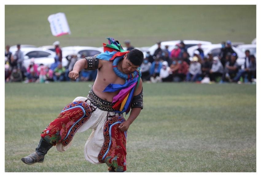 Mongolian Wrestle Wrestling Fight