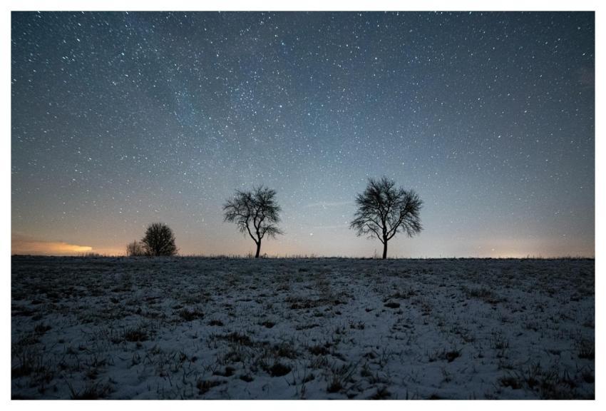Trees Stars Wallpaper Hd Free Background