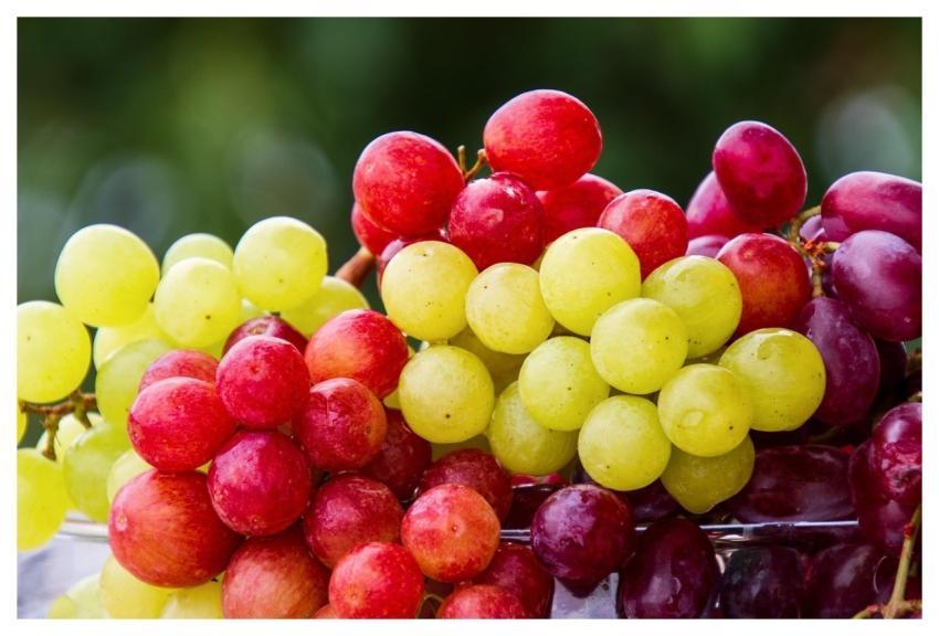 Grapes Fruit Cluster Grape