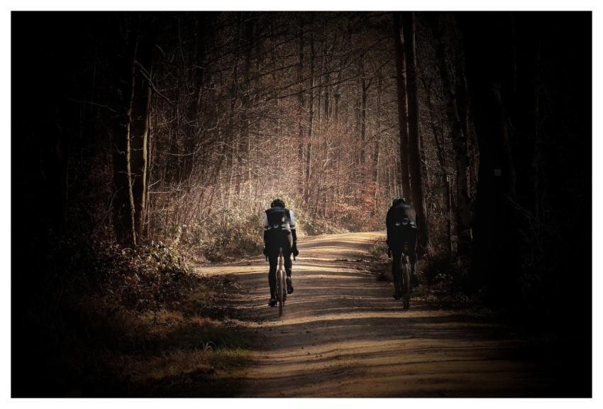 Cyclist Forest Forest Path Sports