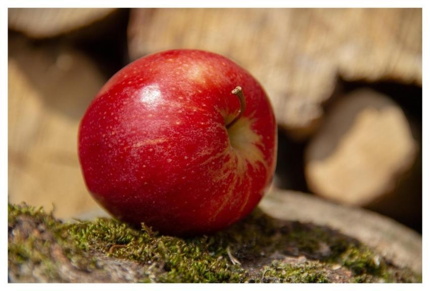 Apple Fruit Red Food