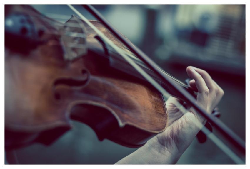 Violin Violinist Music Classic