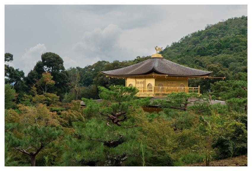 Golden Pavilion Golden Temple Kinkaku-Ji Kyoto