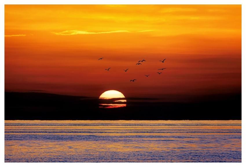 Sunset Sea Nature Horizon