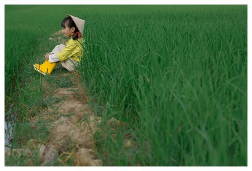 Little Girl Countryside Rice Field Nature