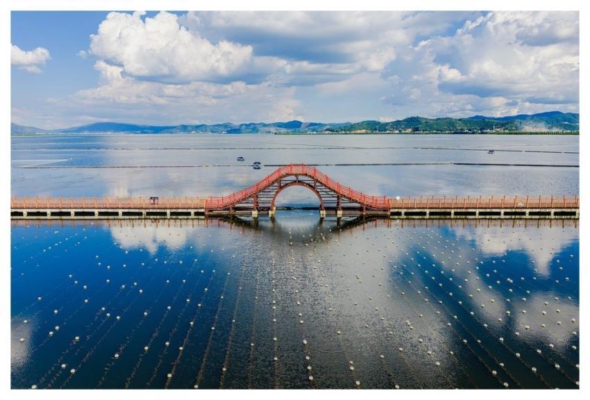Aerial Lake Bridge Boat