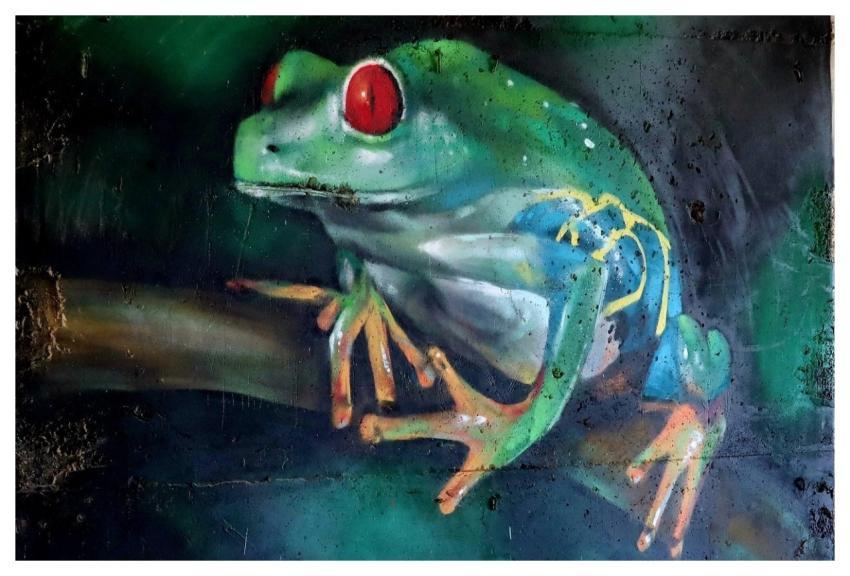 Frog Street Art Graffiti Art
