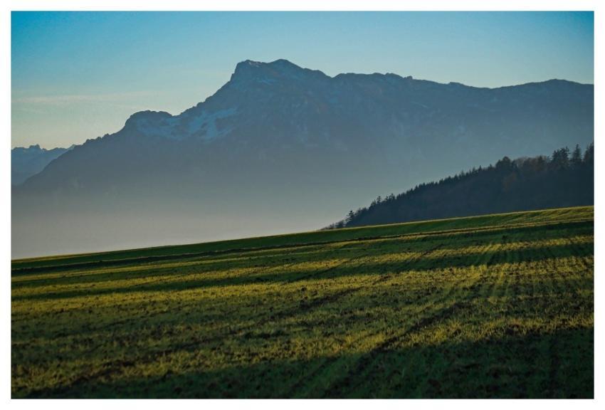 Mountain Nature Field Fog