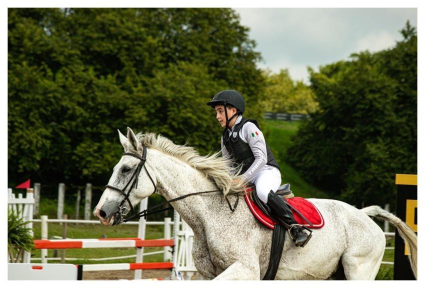 Horse Race Course Competition Speed