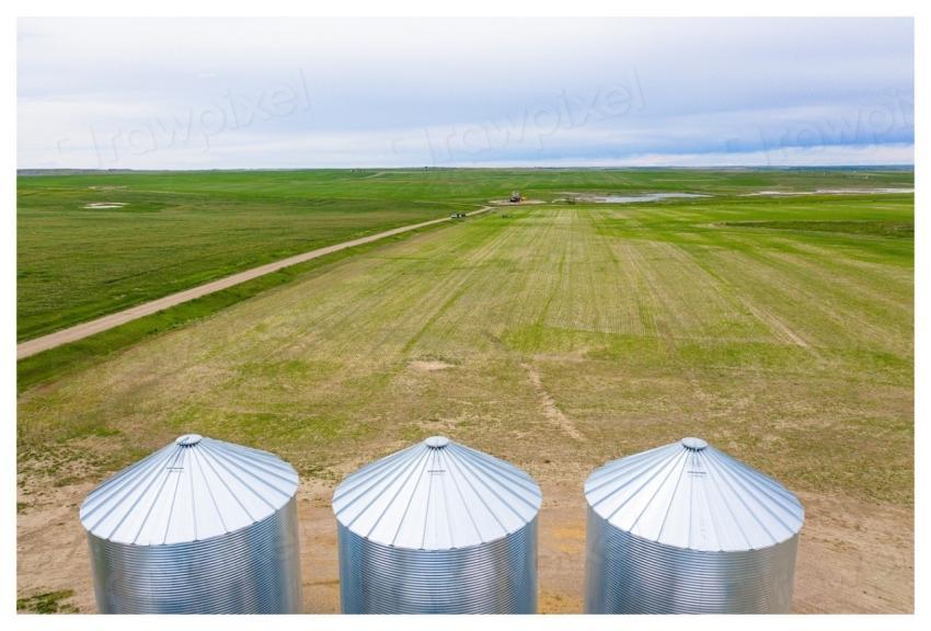 Fauque Farms adopts soil health