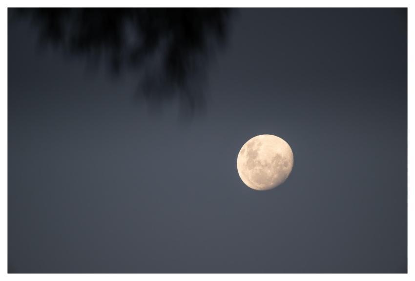 Moon Full Moon Moonlight Dusk