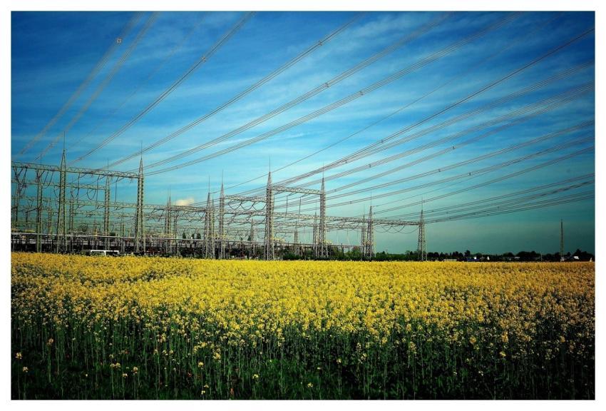 Electricity Field Rapeseeds Electricity Pylons