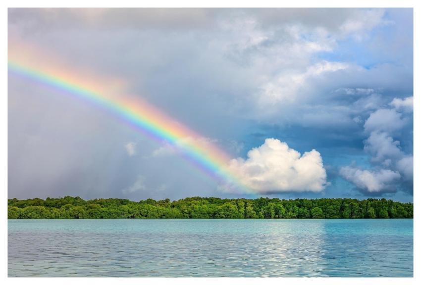 Landscape Rainbow Tropical Nature Background
