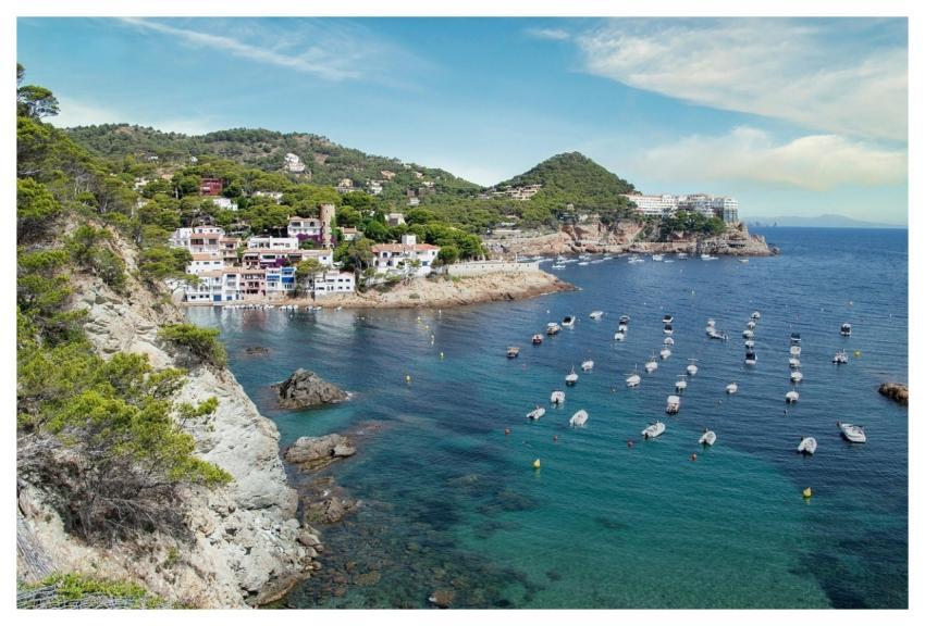 Landscape Coast Sea Nature