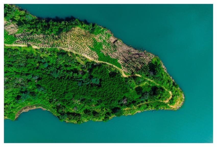 Aerial Castle Architecture Lake