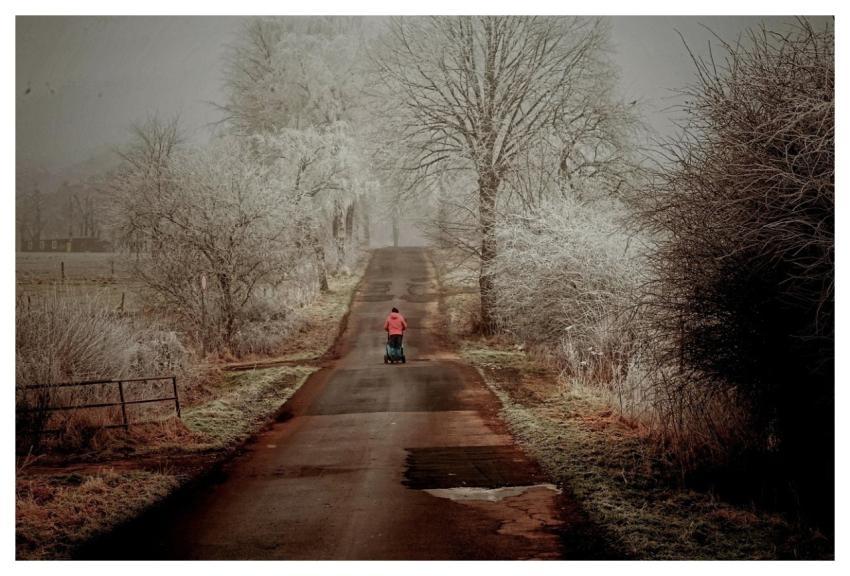 Winter Hoarfrost Avenue Walker