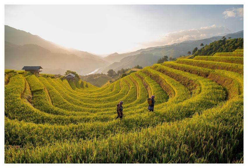 Chilli Nature Terrace Tieubaotruong