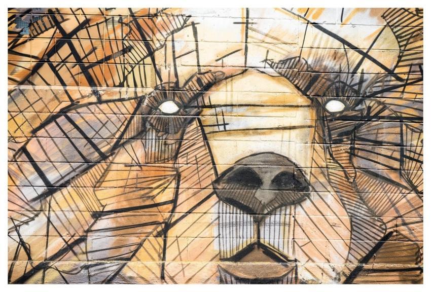 Art Graffiti Painting Wall