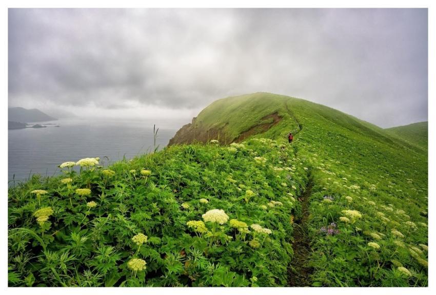 Cape Pasture Sea Nature Background