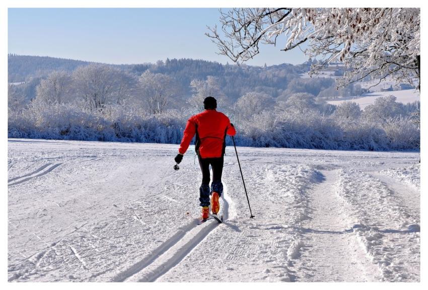 Man Cross Country Skiing Snow Winter Landscape