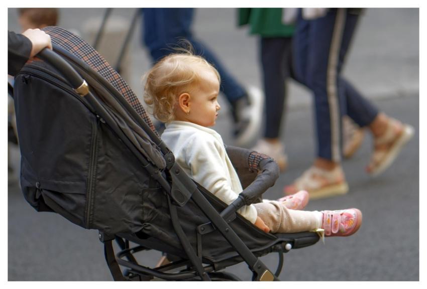 Baby Girl Stroller Child