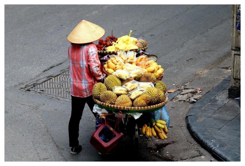 Fruit Street Food Vietnam Business