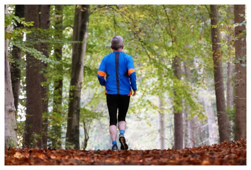 Forest Nature Sports Jogger