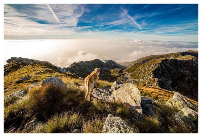 Dog Mountain Mombarone Clouds