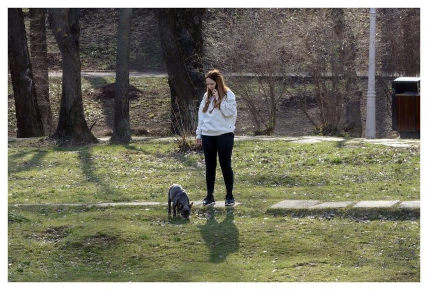 Park Woman Animal Dog