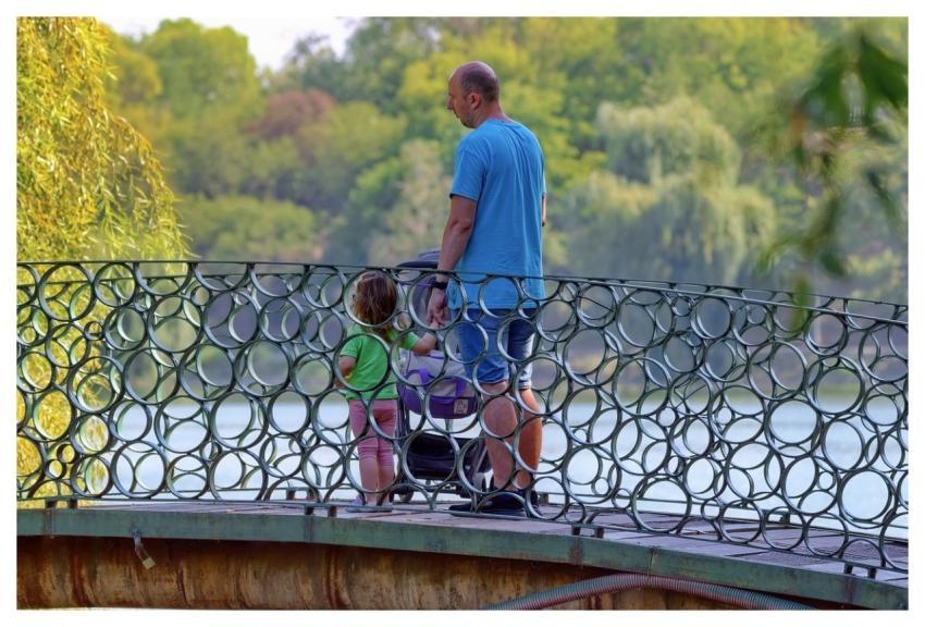 Family Park Nature Bridge