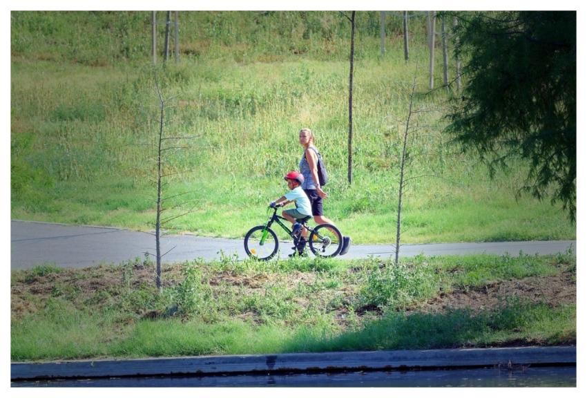 Child Woman Bicycle Helmet