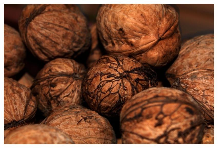 Nut Food Walnut Nutshell