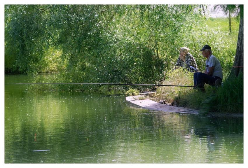 Landscape Naturally Parka Lake