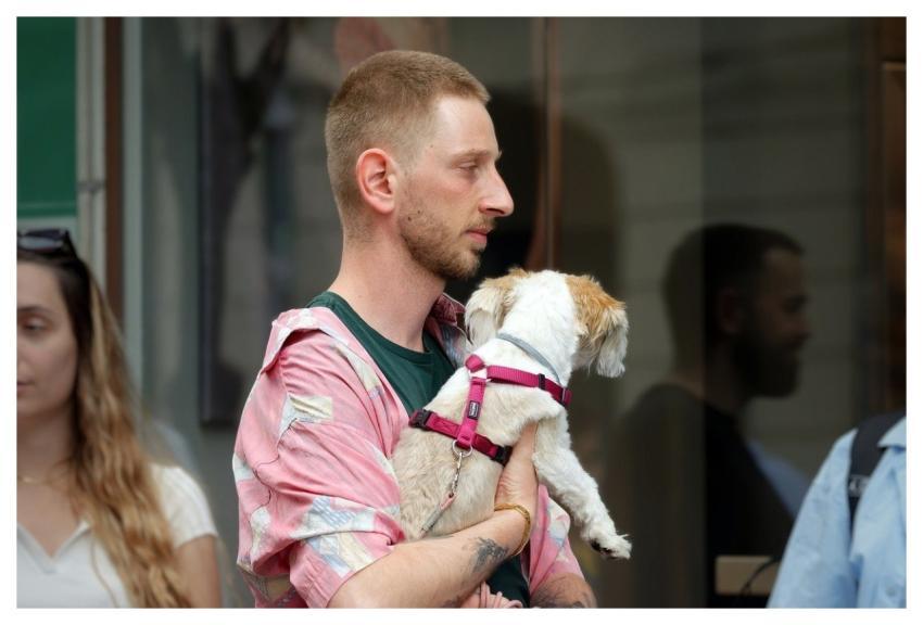 Man Young Pet Animal