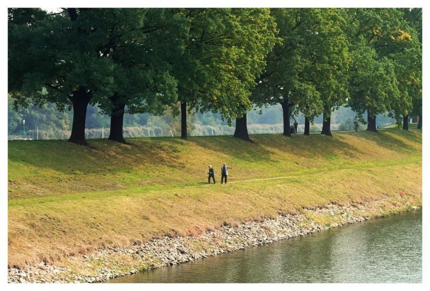 Landscape River Nature Bed