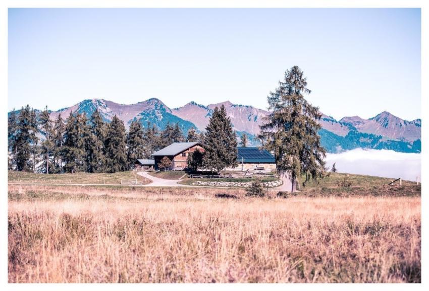 Landscape Fall Nature Alm