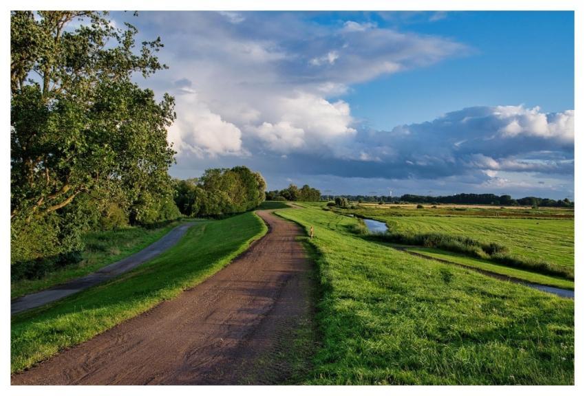 Path Grass Dike Clouds