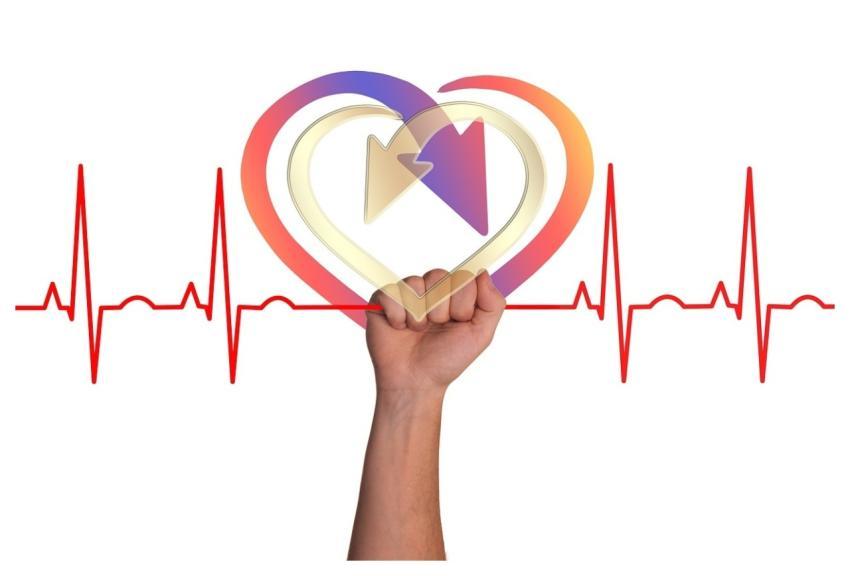 Heart Curve Life Thread