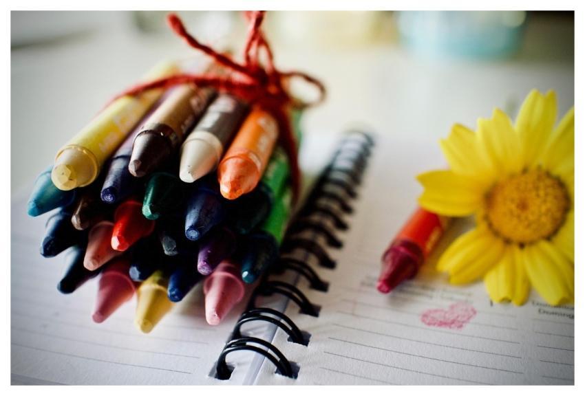 Crayons Colors Flower Creative