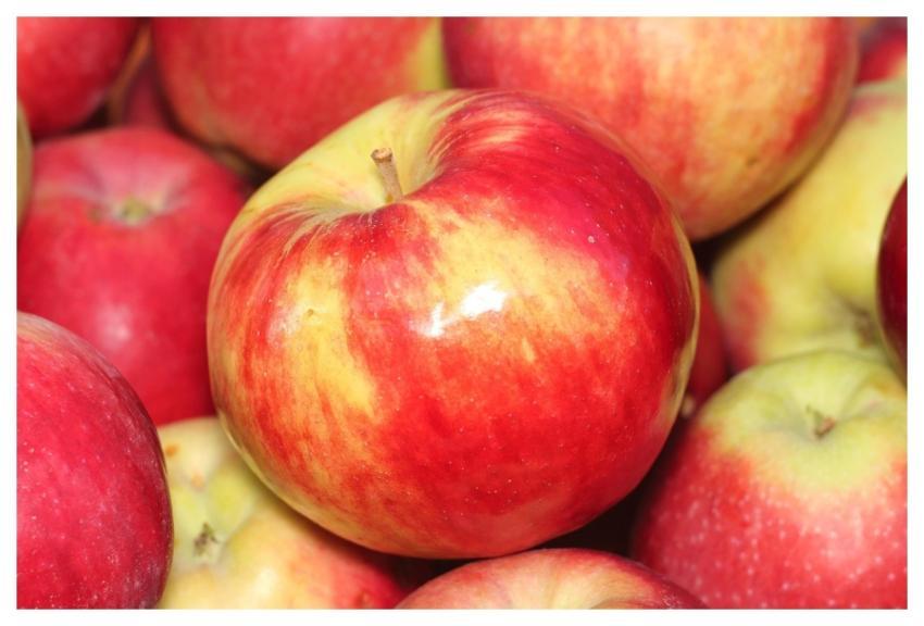 Apple The Fruit Food Juicy