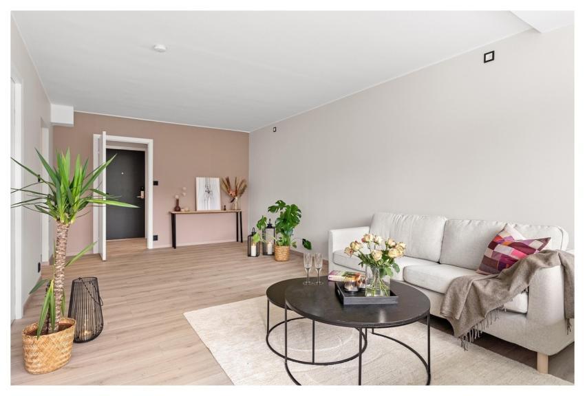 Real Estate Interior House Luxury