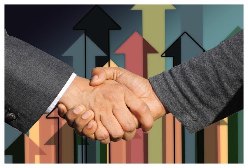 Business Handshake Shaking Hands Arrangement