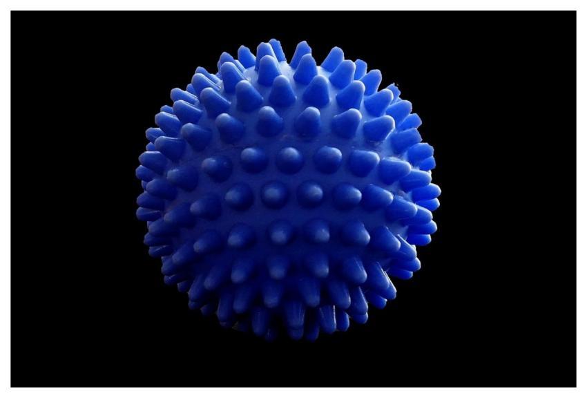 Ball Exercise Training Health