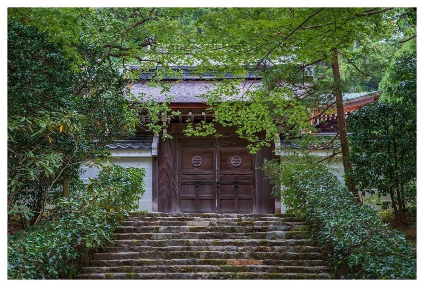 Japanese Garden Zen Japanese Trees