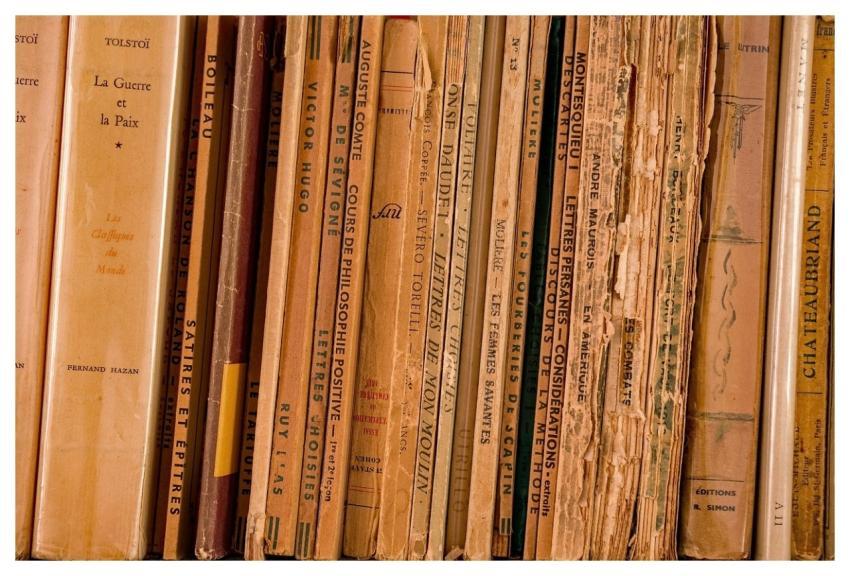 Literature Bookcase Library Wisdom