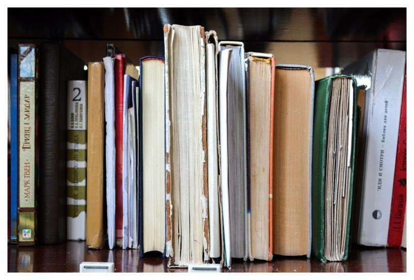 Book Shelf Library School